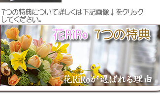 ���Ĥ���ŵ