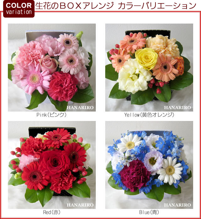 ����󥸡����֤Σ£ϣإ���󥸡�-���֤Υե�����󥸥���-�ֲ�-�ե����ե�-���󥿡��ͥå����۲ֲ������RiRo