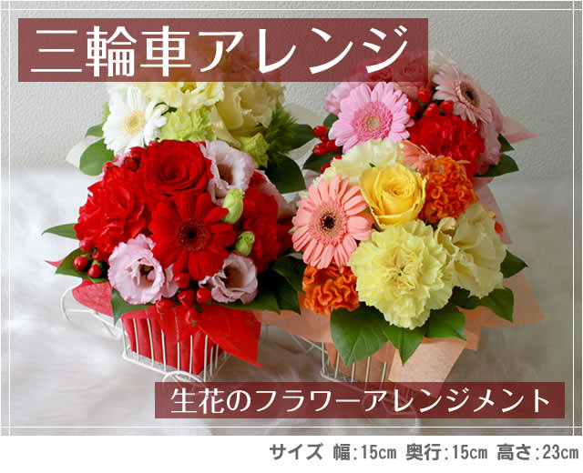アレンジ「三輪車アレンジ」-生花のフラワーアレンジメント-花屋-フラワーギフト-インターネット宅配花屋さん花RiRo