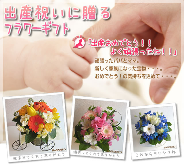 �л��ˤ��ݤ��ˤ��β�