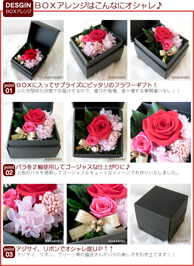 ����󥸡֣£ϣإ���󥸡�/�ץꥶ���֥ɥե����ե�