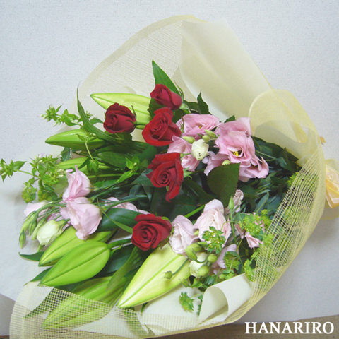 �ԉ��[�t�����[�M�t�g�[�C���^-�l�b�g��z�ԉ������RiRo/�X�^���_�[�h�^�C�v�`�ԑ��E�u�[�P�`