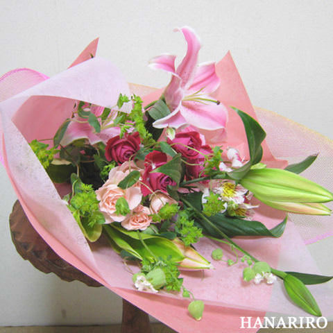 �ԉ��[�t�����[�M�t�g�[�C���^-�l�b�g��z�ԉ������RiRo/�X�^���_�[�h�^�C�v�`�ԑ��E�u�[�P�`