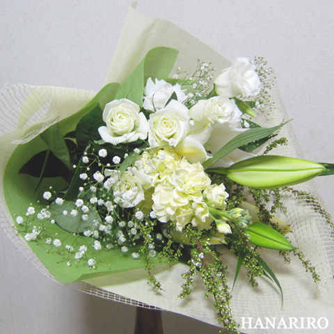 �ԉ��[�t�����[�M�t�g�[�C���^-�l�b�g��z�ԉ������RiRo/�X�^���_�[�h�^�C�v�`�ԑ��E�u�[�P�`