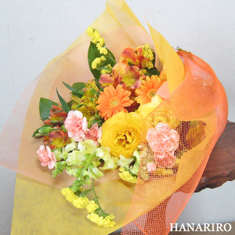 �ԉ��[�t�����[�M�t�g�[�C���^-�l�b�g��z�ԉ������RiRo/�X�^���_�[�h�^�C�v�`�ԑ��E�u�[�P�`