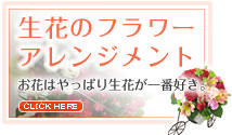 �뺧�ˤ���£��ե����ե�-���֤Υե�����󥸥���