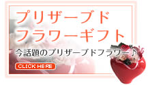 �뺧�ˤ���£��ե����ե�-�ץꥶ���֥ɥե�
