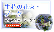�ķϤΥե����ե�-���֤β�«���֡���