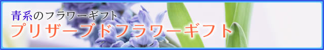 �ķϤΥץꥶ���֥ɥե����ե�-�ֲ�-�ե����ե�-���۲ֲ������RiRo