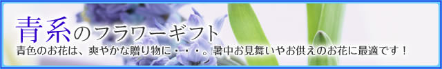 �ķϤΥե����ե�-�ֲ�-�ե����ե�-���۲ֲ������RiRo