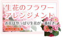 �ԥ󥯷ϤΥե����ե�-���֤Υե�����󥸥���