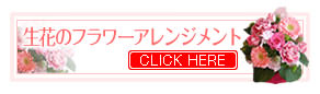 �ԥ󥯷Ϥ����֤Υ���󥸥���-�ֲ�-�ե����ե�-���۲ֲ������RiRo