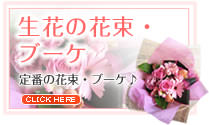 �ԥ󥯷ϤΥե����ե�-���֤β�«���֡���