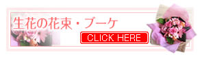 �ԥ󥯷Ϥ����֤β�«���֡���-�ֲ�-�ե����ե�-���۲ֲ������RiRo