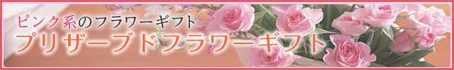 �ԥ󥯷ϤΥץꥶ���֥ɥե����ե�-�ֲ�-�ե����ե�-���۲ֲ������RiRo