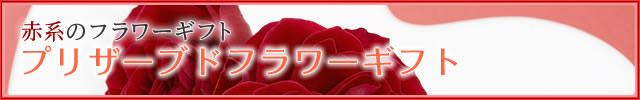 �ַϤΥץꥶ���֥ɥե����ե�-�ֲ�-�ե����ե�-���۲ֲ������RiRo