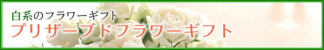 ��ϤΥץꥶ���֥ɥե����ե�-�ֲ�-�ե����ե�-���۲ֲ������RiRo