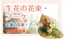 ��������󥸷ϤΥե����ե�-���֤β�«���֡���