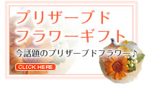 ��������󥸷ϤΥե����ե�-�ץꥶ���֥ɥե�