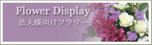 Ź�ޤ��������ߡ�Flower Display�ˡݲֲ��ݥե����եȡݥ���-�ͥå����۲ֲ������RiRo