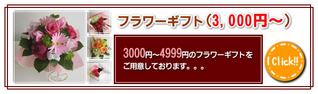 3000�ߡ�4999�ߤΥե����ե�