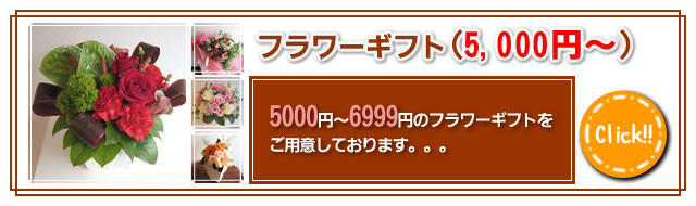 5000�ߡ�6999�ߤΥե����ե�