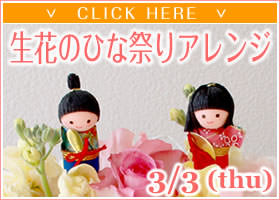 �Ҥʺפ�ե����ե�-�ֲ�-�ե����ե�-���󥿡��ͥå����۲ֲ������RiRo