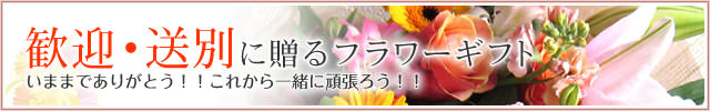 �����޽ˤ���£��ե����ե�-�ֲ�-�ե����ե�-���۲ֲ������RiRo