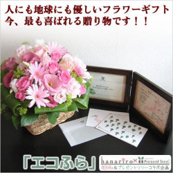 �u�G�R�ӂ�v/���ԃA�����W�����g�{�v���[���g�c���[