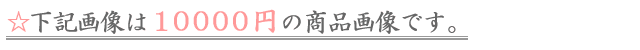 10000�ߤ���ϤΤ�����ߡ�����������󥸡����