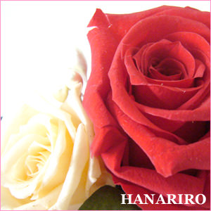 花屋−フラワーギフト宅配花屋さん花RiRo−プリザーブドフラワーについて−