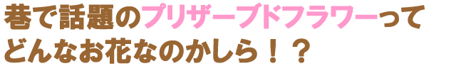 花屋−フラワーギフト宅配花屋さん花RiRo−プリザーブドフラワーについて−