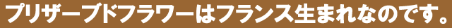 花屋−フラワーギフト宅配花屋さん花RiRo−プリザーブドフラワーについて−