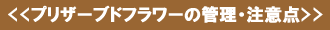 花屋−フラワーギフト宅配花屋さん花RiRo−プリザーブドフラワーについて−