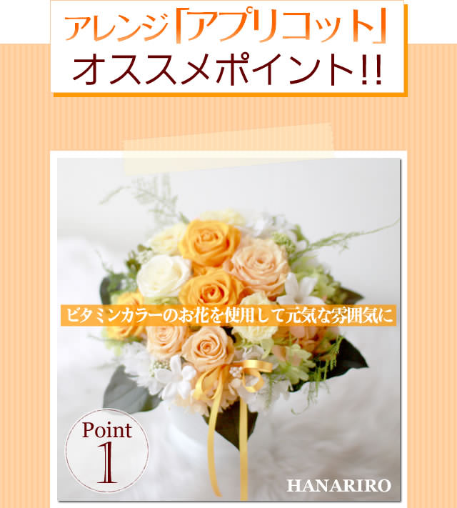 アレンジ「アプリコット」/プリザーブドフラワーギフト