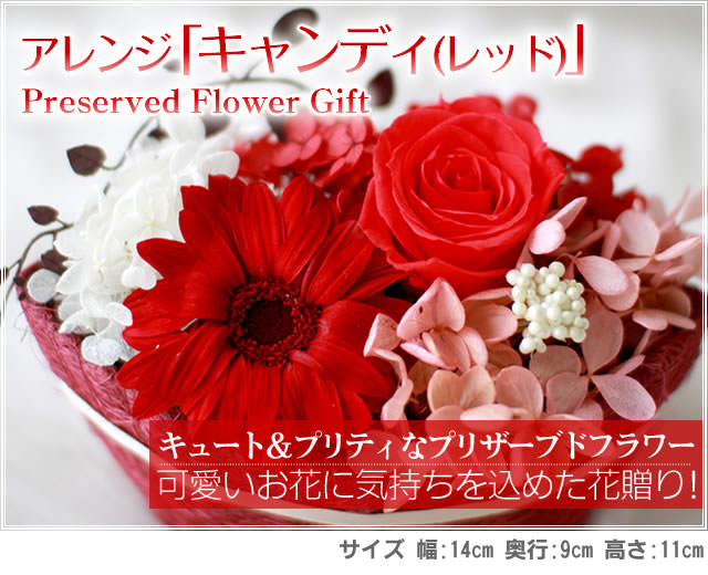 アレンジ「キャンディ(レッド)」-プリザーブドフラワーギフト-花屋-フラワーギフト-インターネット宅配花屋さん花RiRo