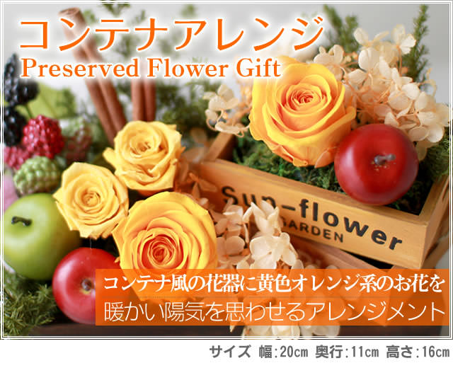 アレンジ「コンテナアレンジ」-プリザーブドフラワーギフト-花屋-フラワーギフト-インターネット宅配花屋さん花RiRo