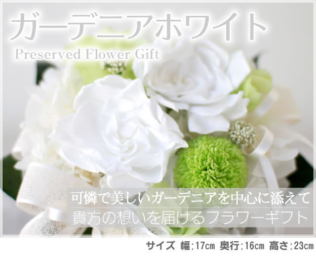 アレンジ「ガーデニアホワイト」-プリザーブドフラワーギフト-花屋-フラワーギフト-インターネット宅配花屋さん花RiRo