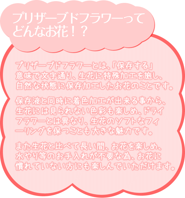 アレンジ「テディーバッグ」/プリザーブドフラワーギフト