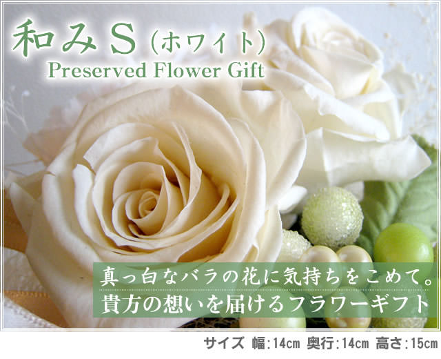 ����󥸡��¤ߣӡʥۥ磻�ȡˡ�/�ץꥶ���֥ɥե����ե�