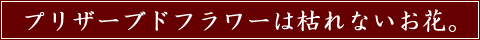 ���¤�S�ס����?�ץꥶ���֥ɥե�?