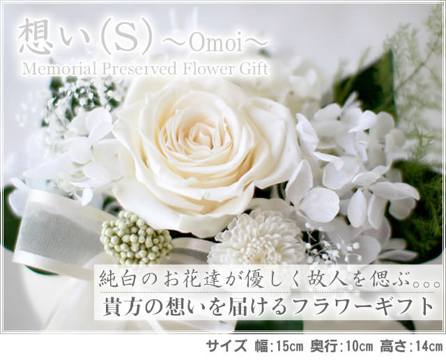 ����󥸡��ۤ��ʣӡˡ�/�ץꥶ���֥ɥե����ե�