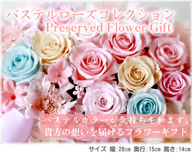 ����󥸡֥ѥ��ƥ���������쥯������/�ץꥶ���֥ɥե����ե�