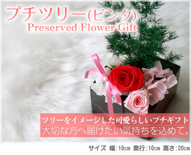 ����󥸡֥ץ��ĥ꡼�ʥԥ󥯡ˡ�-�ץꥶ���֥ɥե����ե�-�ֲ�-�ե����ե�-���󥿡��ͥå����۲ֲ������RiRo