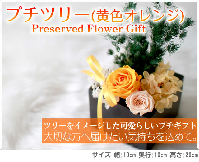 ����󥸡֥ץ��ĥ꡼�ʲ�������󥸡ˡ�-�ץꥶ���֥ɥե����ե�-�ֲ�-�ե����ե�-���󥿡��ͥå����۲ֲ������RiRo