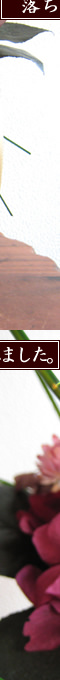 「彩り」(ピンク)?プリザーブドフラワー
