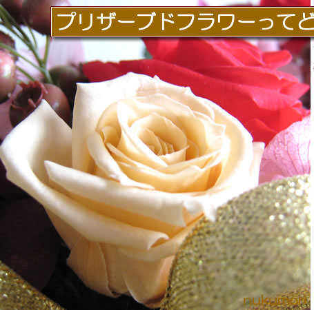 花屋 フラワーギフト 宅配花屋さん ぬくもり プリザーブドフラワー