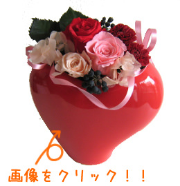�뺧��ǰ���ݥץꥶ���֥ɥե�