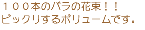 �鯡ʥХ�ˤβ�«-