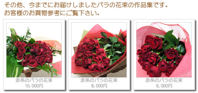 �鯡ʥХ�ˤβ�«-